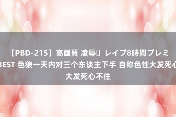 【PBD-215】高画質 凌辱・レイプ8時間プレミアムBEST 色狼一天内对三个东谈主下手 自称色性大发死心不住