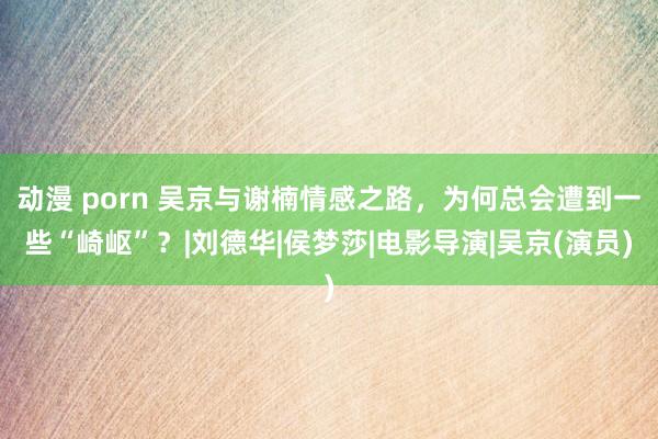 动漫 porn 吴京与谢楠情感之路，为何总会遭到一些“崎岖”？|刘德华|侯梦莎|电影导演|吴京(演员)