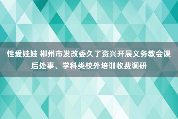 性爱娃娃 郴州市发改委久了资兴开展义务教会课后处事、学科类校外培训收费调研