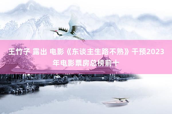 王竹子 露出 电影《东谈主生路不熟》干预2023年电影票房总榜前十