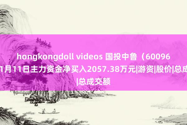 hongkongdoll videos 国投中鲁（600962）11月11日主力资金净买入2057.38万元|游资|股价|总成交额