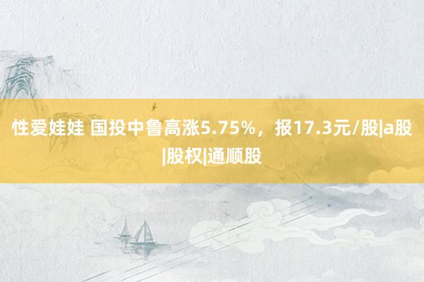 性爱娃娃 国投中鲁高涨5.75%，报17.3元/股|a股|股权|通顺股