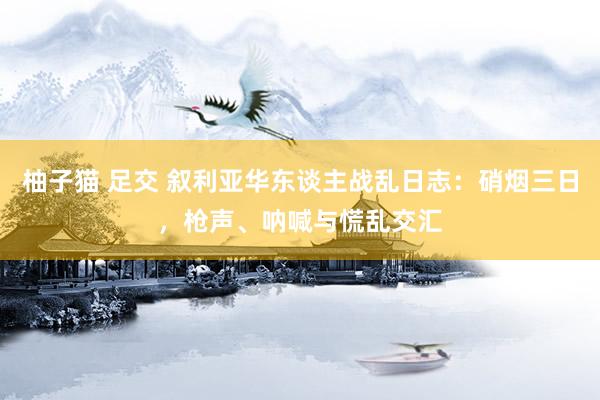 柚子猫 足交 叙利亚华东谈主战乱日志：硝烟三日，枪声、呐喊与慌乱交汇