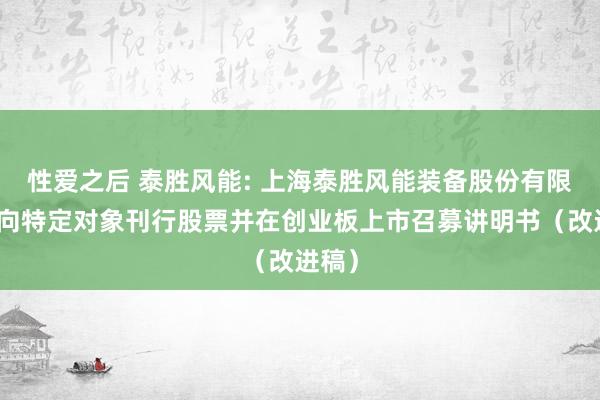 性爱之后 泰胜风能: 上海泰胜风能装备股份有限公司向特定对象刊行股票并在创业板上市召募讲明书（改进稿）