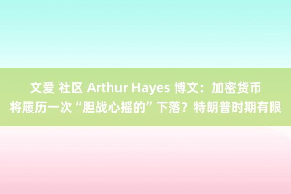 文爱 社区 Arthur Hayes 博文：加密货币将履历一次“胆战心摇的”下落？特朗普时期有限